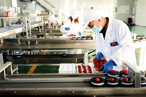 鄂爾多斯 建設(shè)農(nóng)副產(chǎn)品電商服務(wù)中心，賦能養(yǎng)生保健服務(wù)新生態(tài)